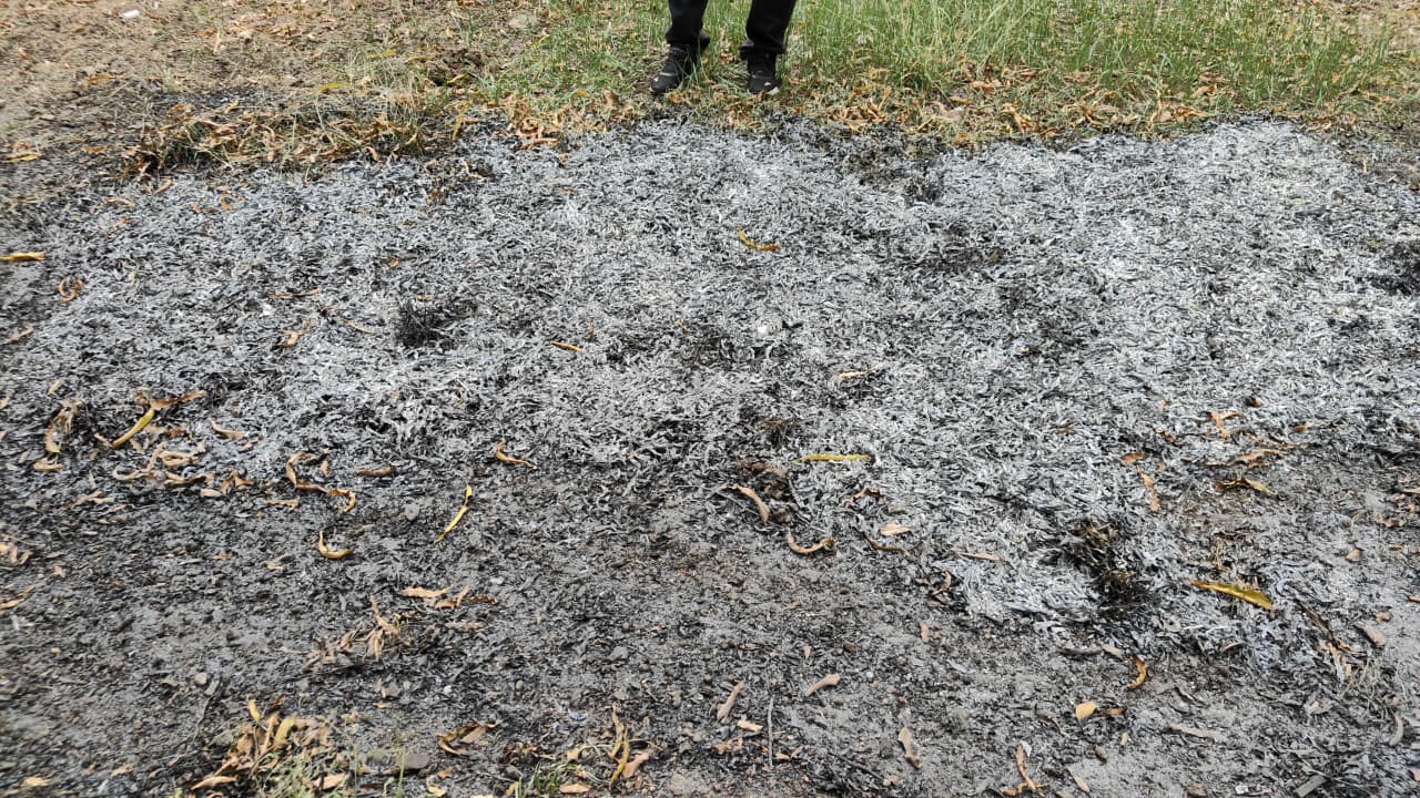 WhatsApp Image 2026-02-26 at 171053 - NewsNation Online