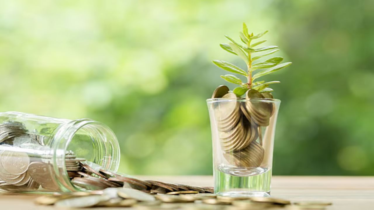 जुलाई में SIP शुरू करने वालों के लिए एक्सपर्ट के बताए 5 म्यूचुअल फंड, जानिए कितना बन सकता है रिटर्न