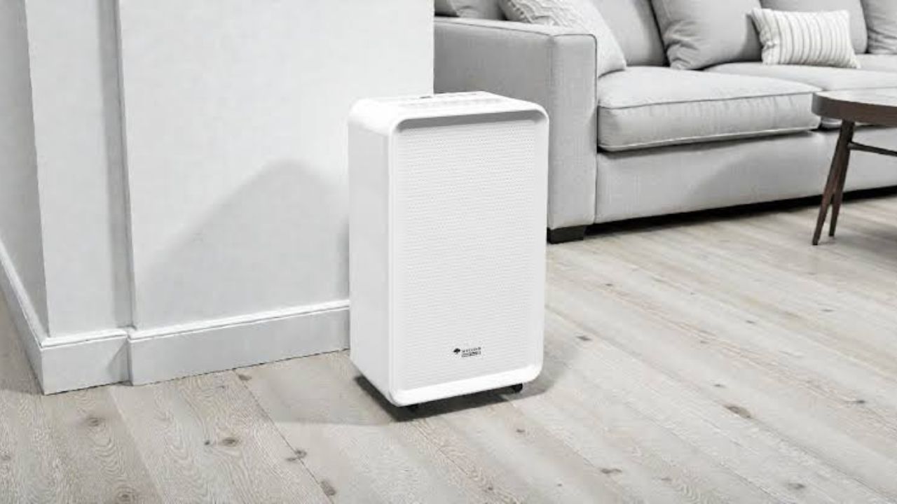 बरसात में Dehumidifier इस्तेमाल करते समय रहें सावधान, छोटी गलती बन सकती है बड़े हादसे की वजह