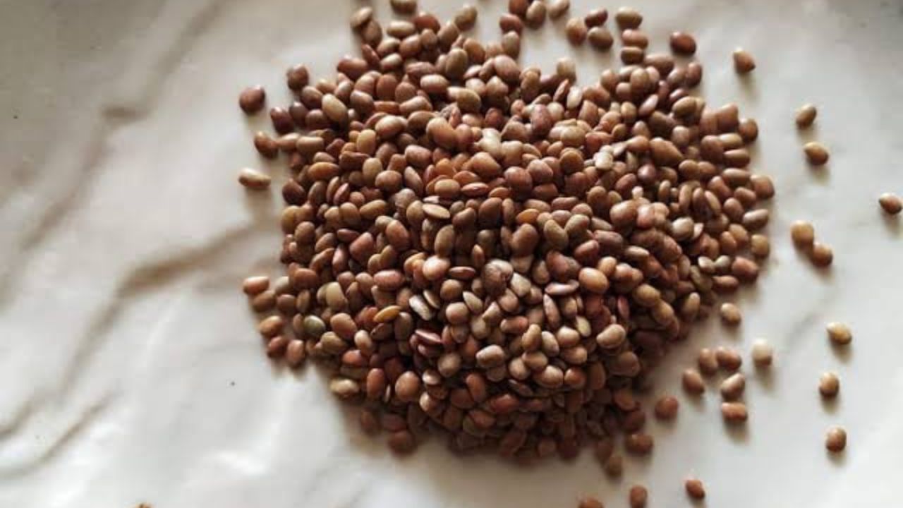कुल्थी की दाल के फायदे जानकर चौंक जाएंगे, वजन से किडनी तक मिलेगा लाभ