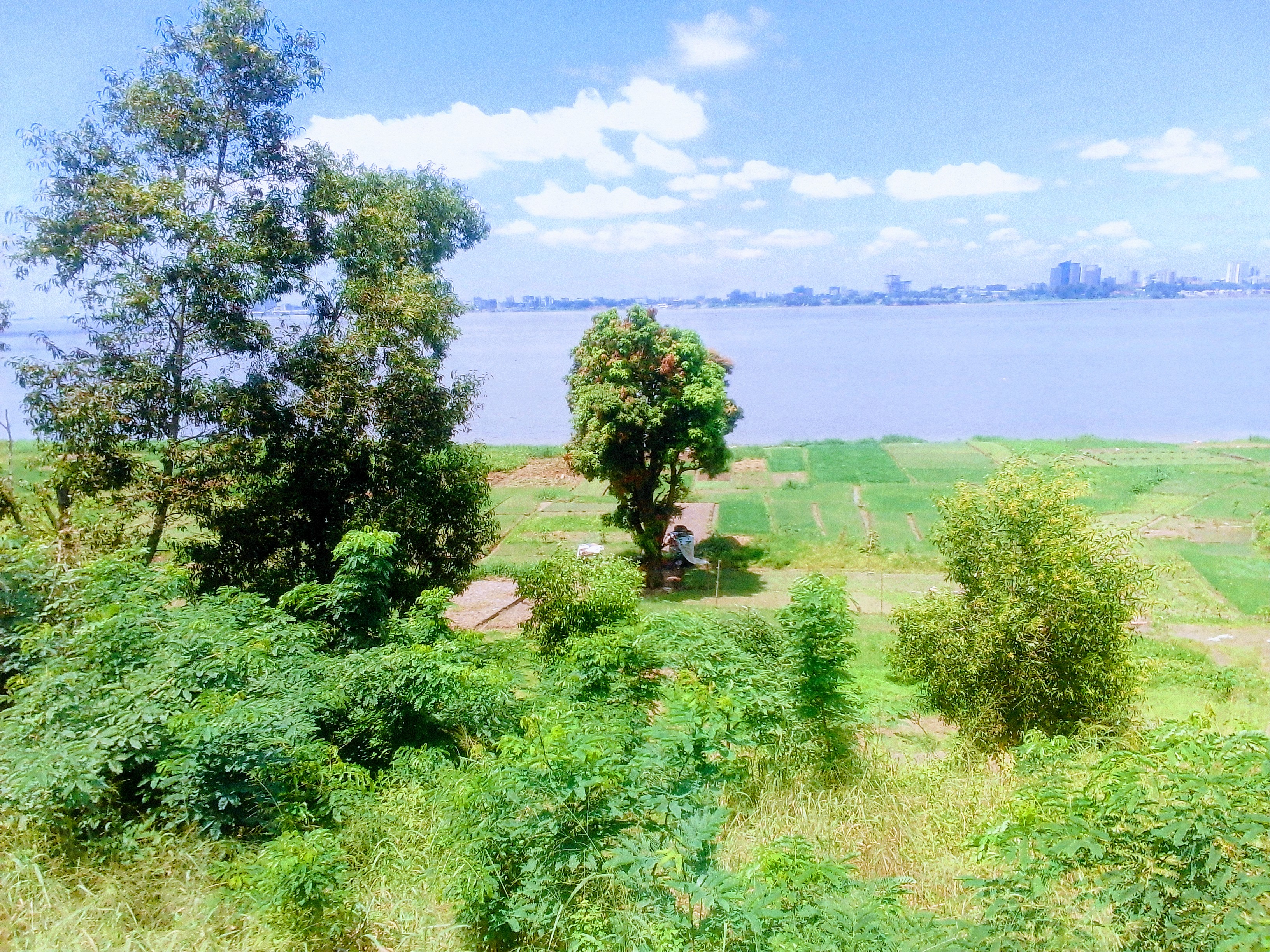 Republic of the Congo Travel Guide: Brazzaville, Odzala-Kokoua, Sangha and 15 Places to Know