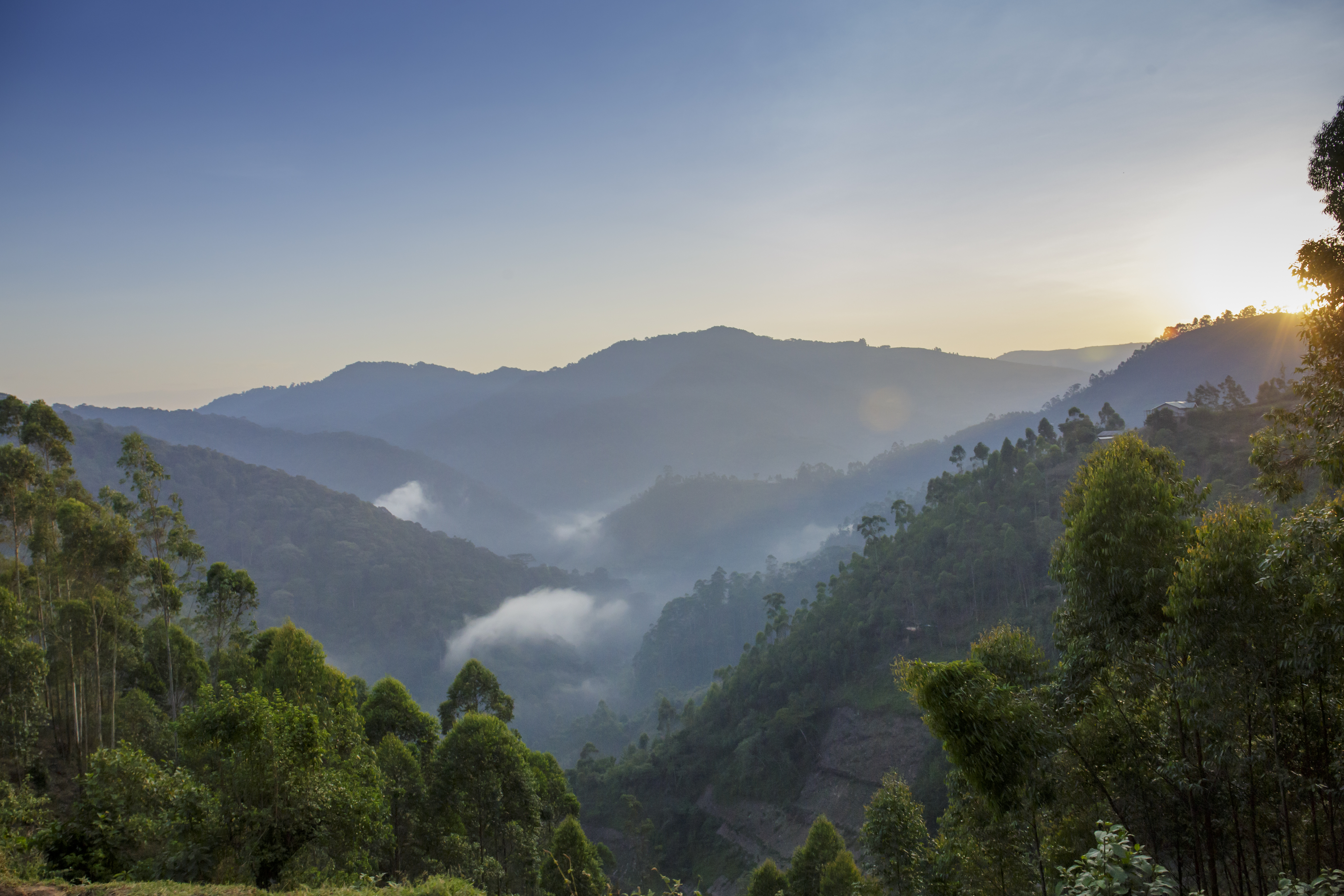 Bwindi Impenetrable National Park landscape in Uganda photographed by Thomas Fuhrmann