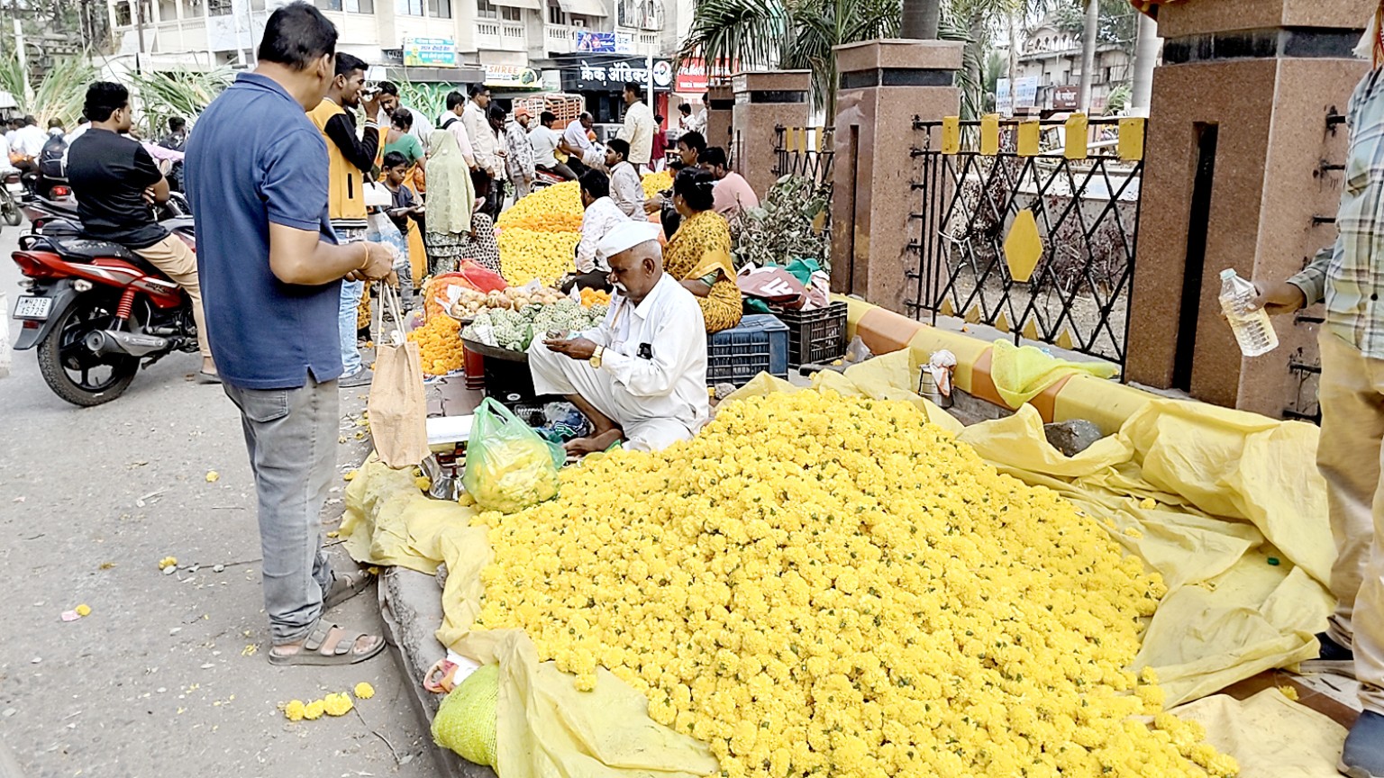 जालना दशहरा गेंदा फूल बाजार - NewsNation Online जालना में दशहरे के दौरान सड़क किनारे बिक्री के लिए रखे पीले गेंदा फूल और ग्राहक