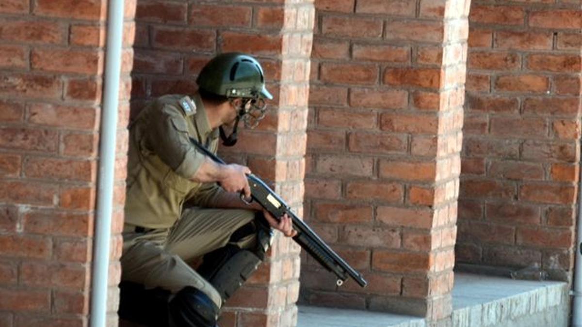 What are pellet guns and why are they lethal?