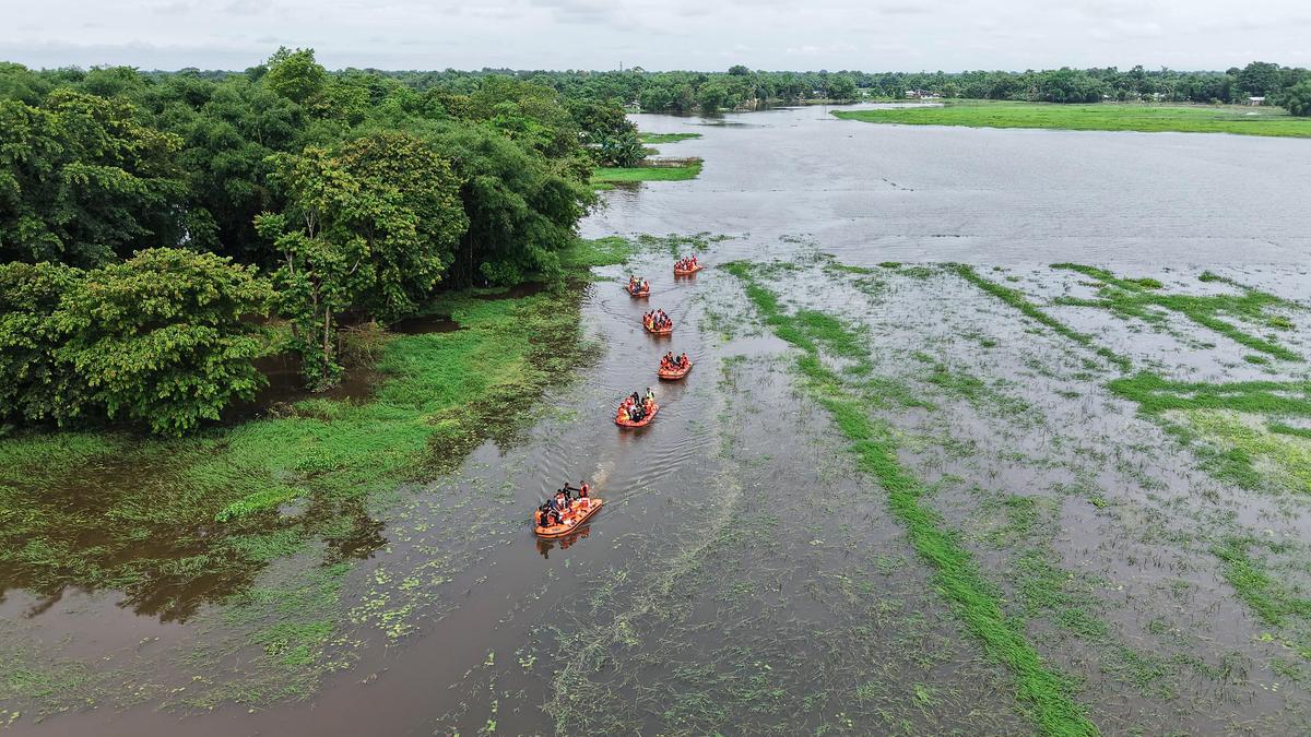 Flood situation in Assam critical as overnight rains threaten fresh inundation - NewsNation Online Flood situation in Assam critical as overnight rains threaten fresh inundation